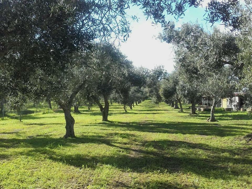 Agriturismo Sa Ruda Càbras Zewnętrze zdjęcie