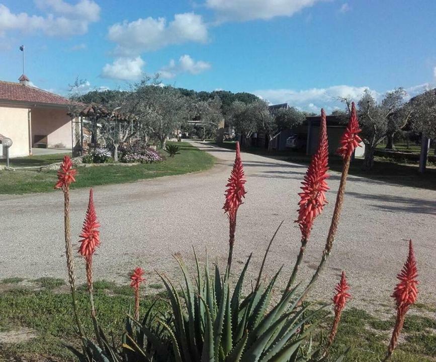 Agriturismo Sa Ruda Càbras Zewnętrze zdjęcie